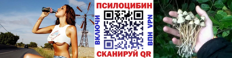 что такое наркотик это наркотические препараты Галлюциногенные грибы Magic Shrooms Серов