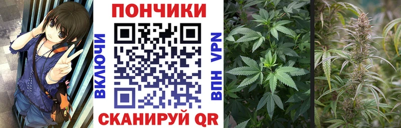 mega tor  Серов  МАРИХУАНА ГИДРОПОН 